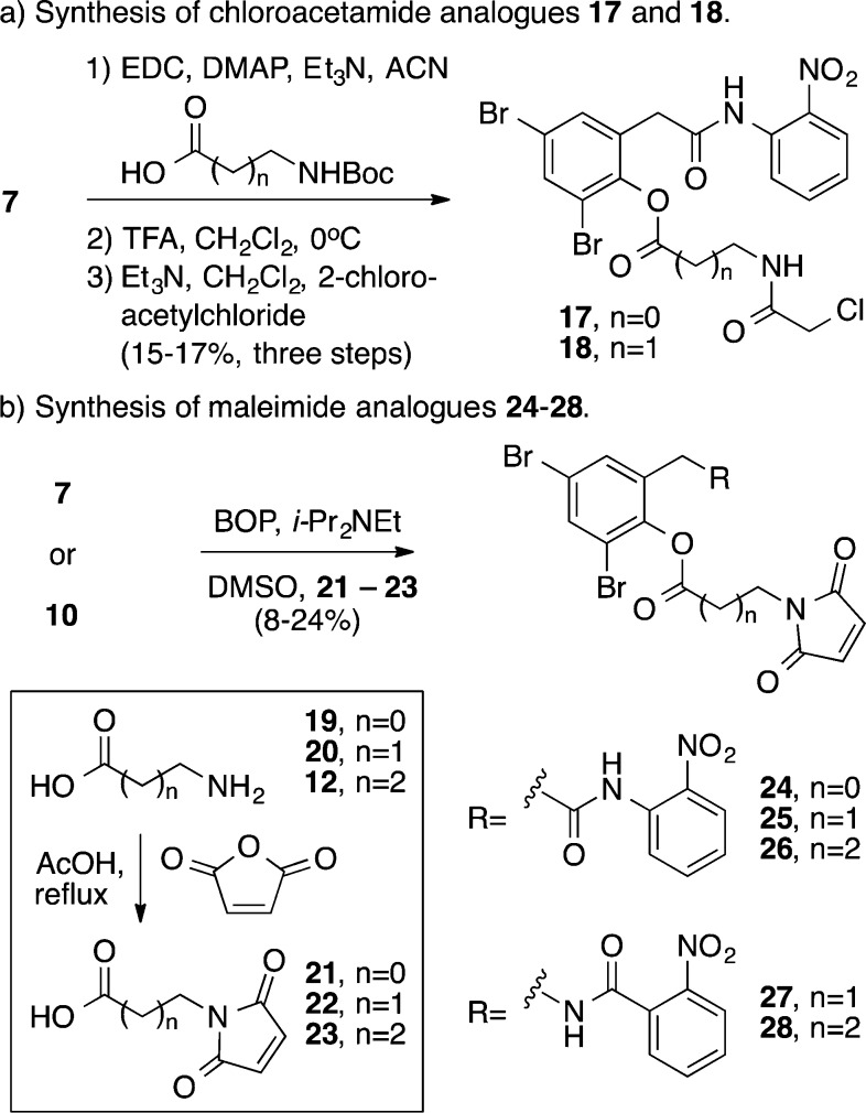 Scheme 3