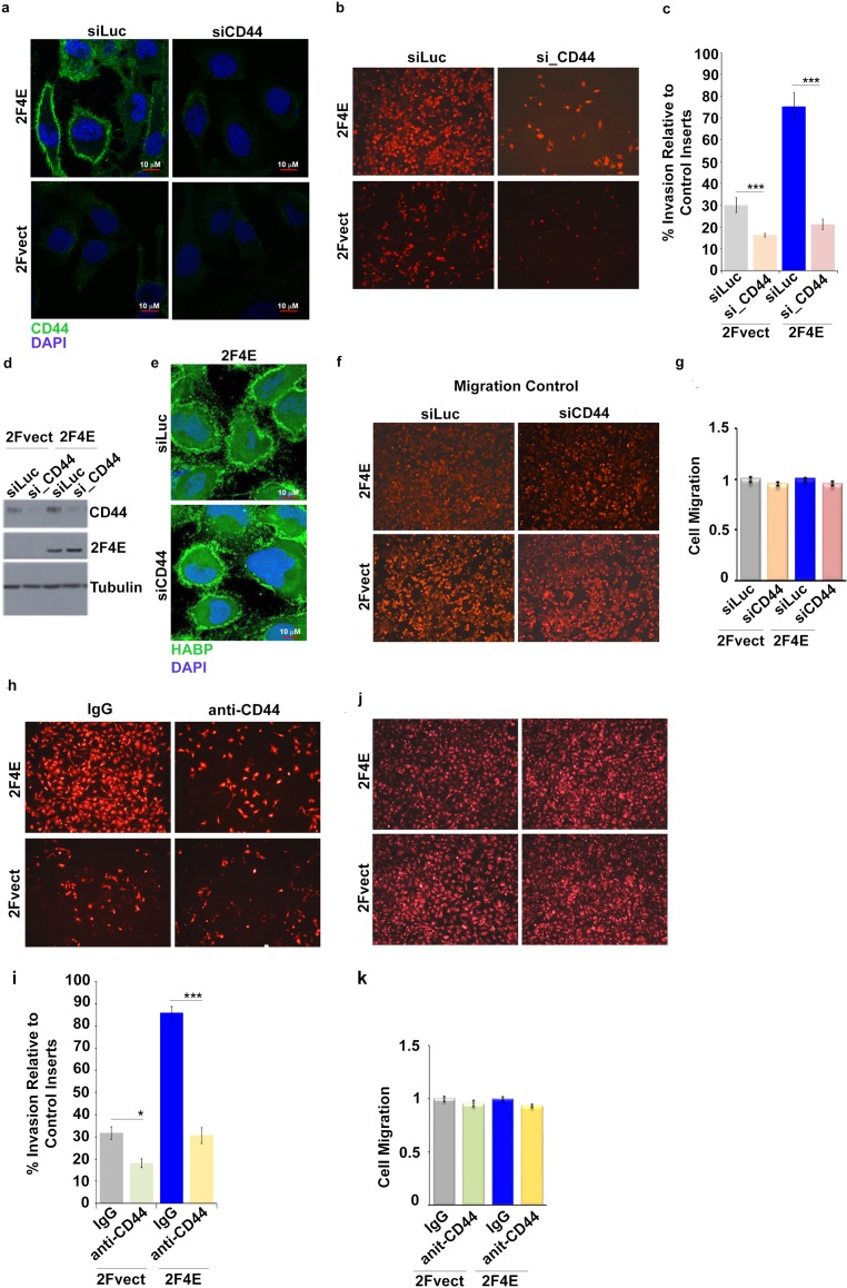 Figure 4—figure supplement 2.