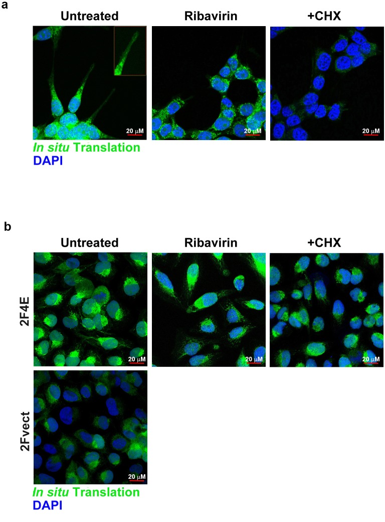 Figure 3—figure supplement 2.