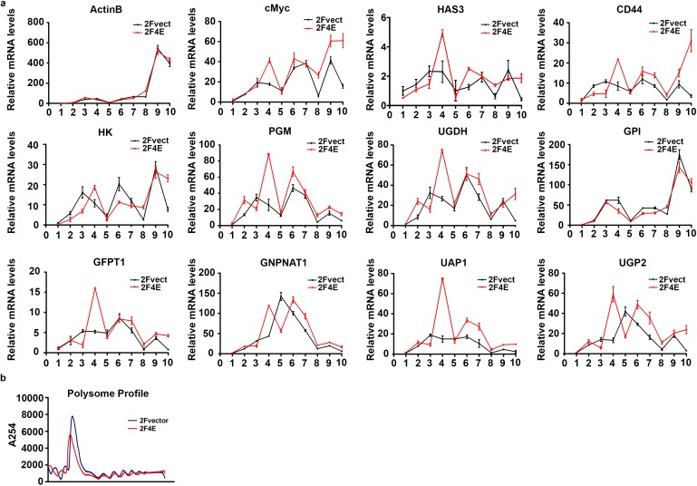 Figure 1—figure supplement 3.