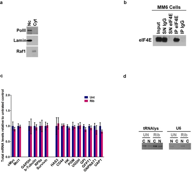 Figure 3—figure supplement 1.