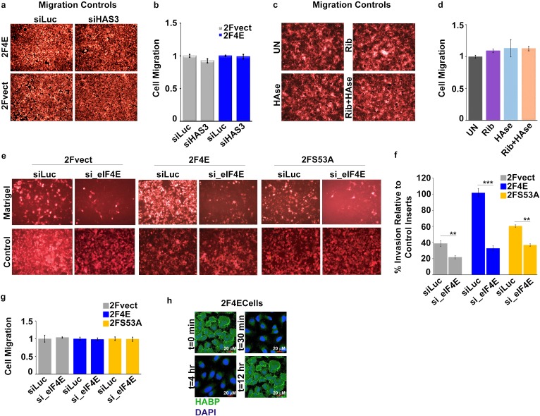 Figure 4—figure supplement 1.