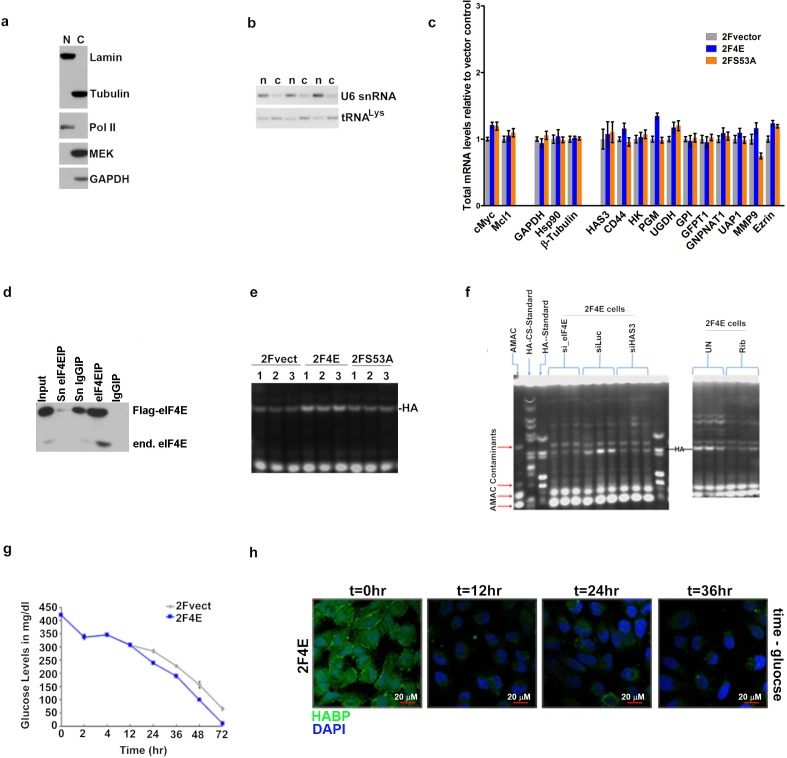 Figure 1—figure supplement 1.