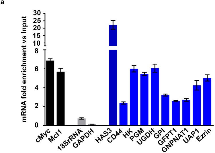 Figure 1—figure supplement 2.