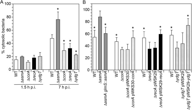 FIG 2