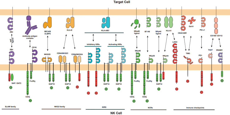 Figure 2