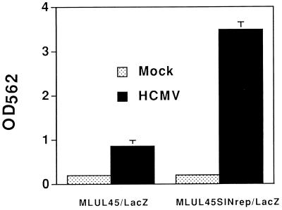 FIG. 8