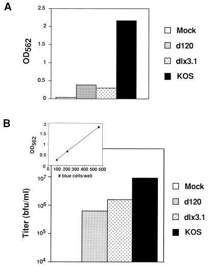 FIG. 6