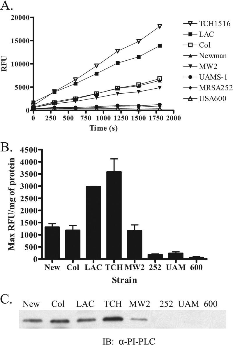 FIG 1