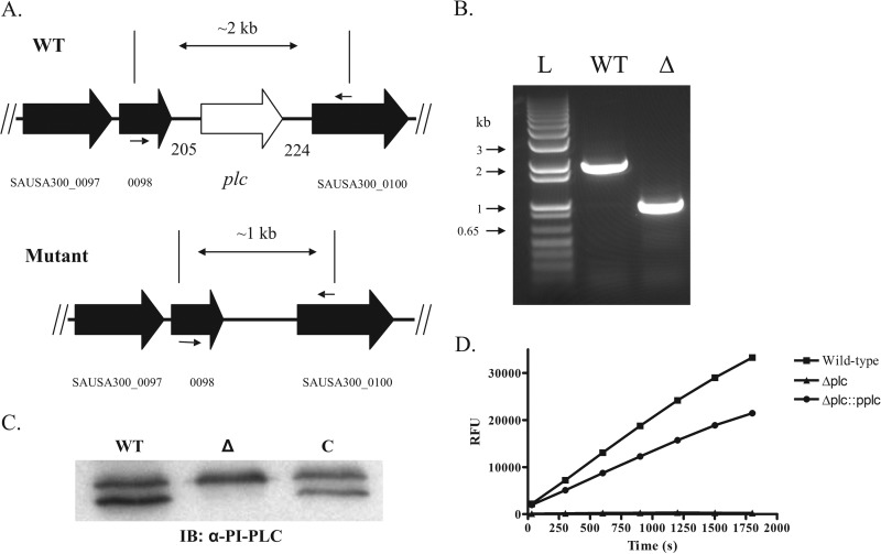 FIG 6