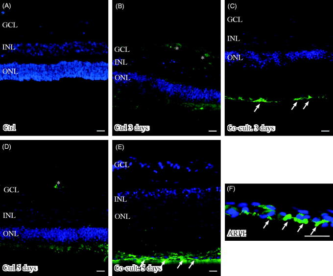 Figure 6.