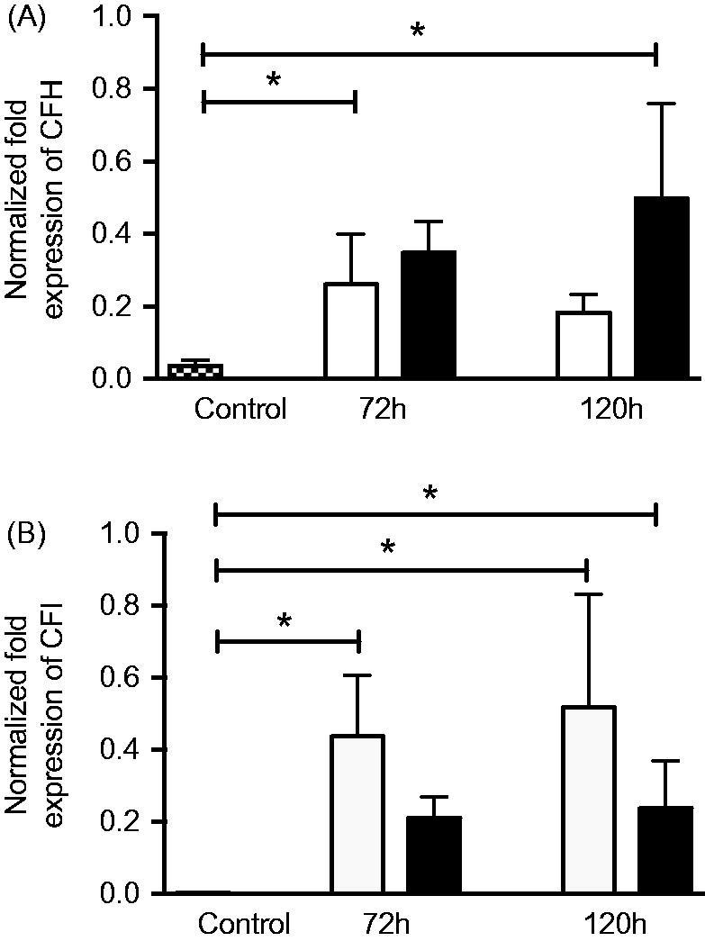 Figure 10.