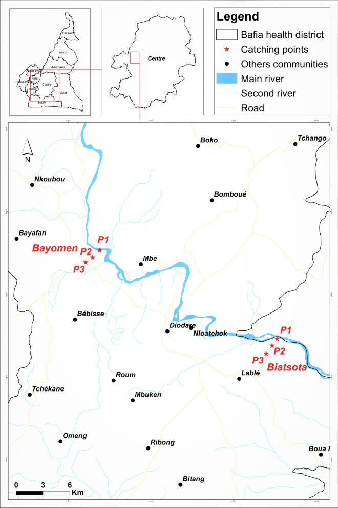 Fig. 1