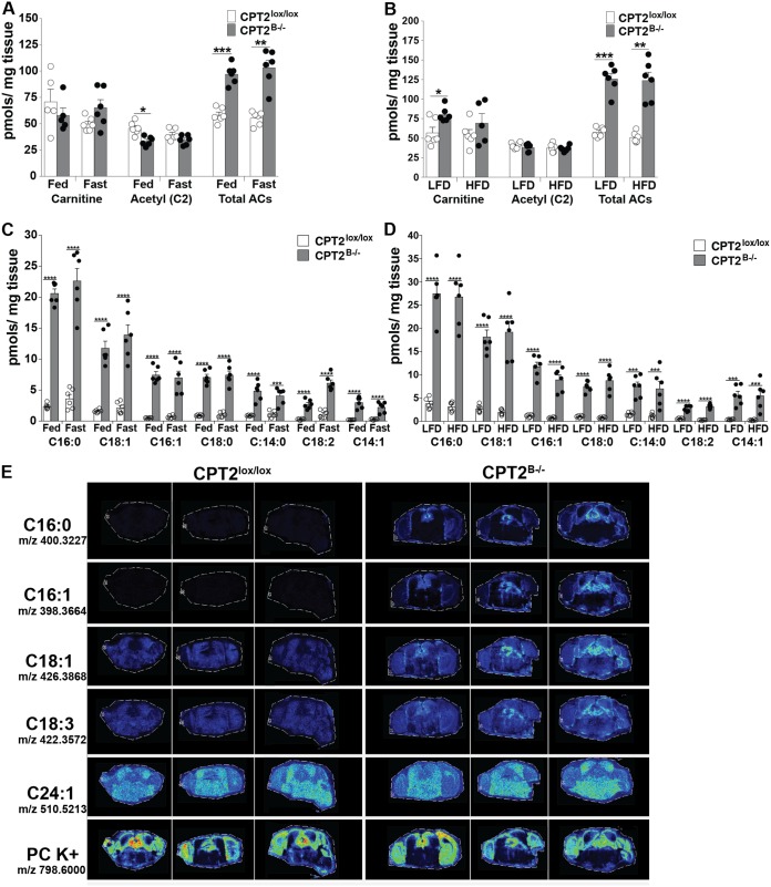 FIG 6