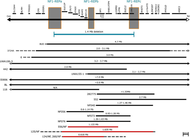 FIGURE 2