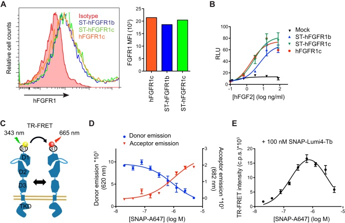 FIGURE 1.