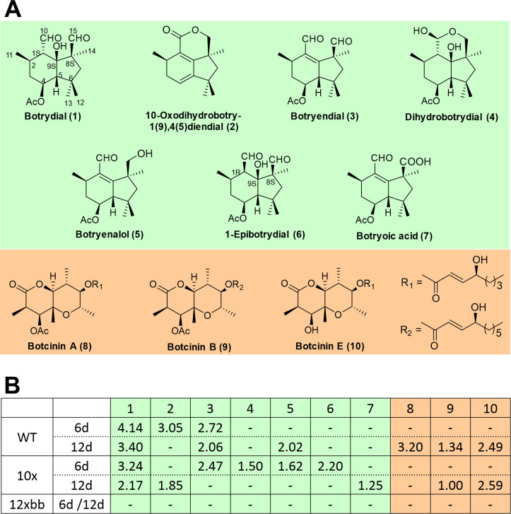 Fig 6