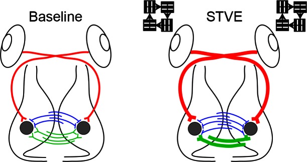 Fig. 10.