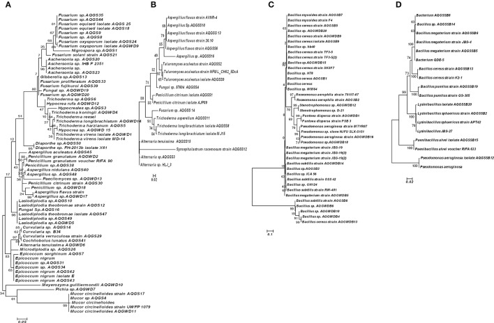 Figure 4