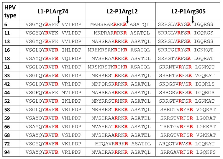 graphic file with name viruses-11-00837-i001.jpg