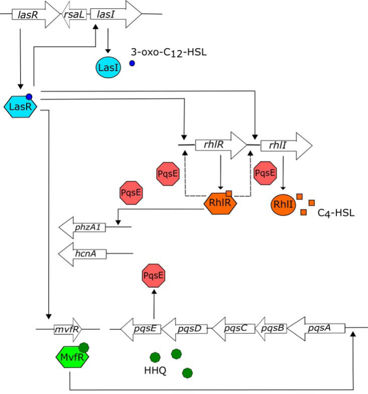 FIG 1