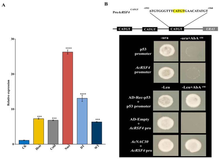 Figure 11