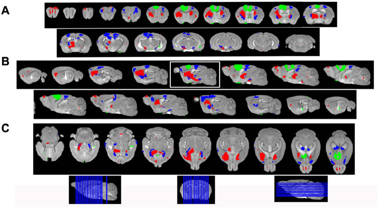 Fig. 4.