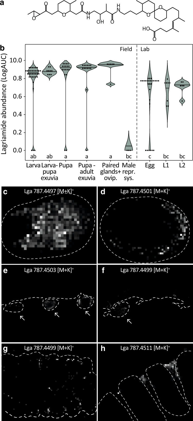 Fig. 5