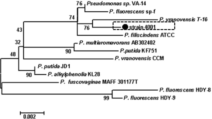 Fig. 2