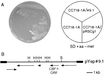 FIG. 1