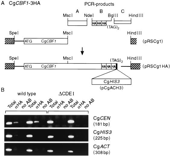 FIG. 7