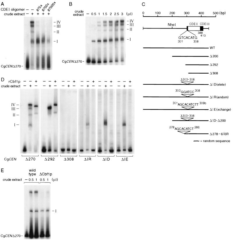 FIG. 4