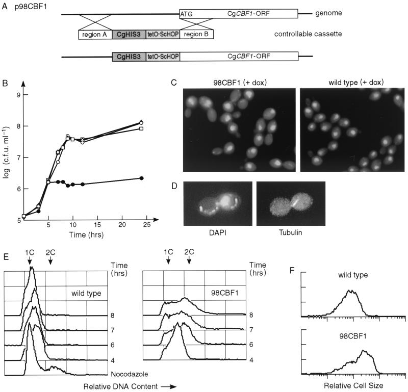 FIG. 8