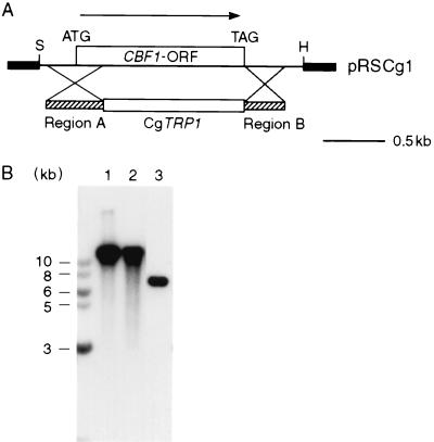 FIG. 6