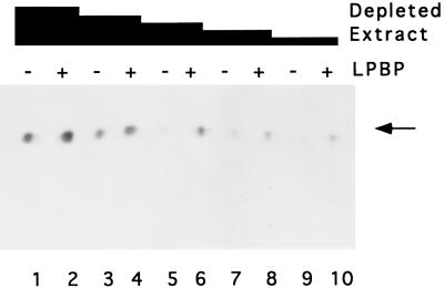 FIG. 8