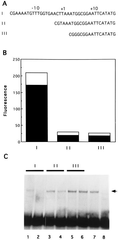 FIG. 6