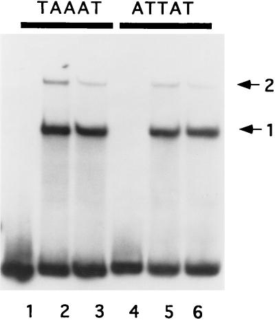 FIG. 7