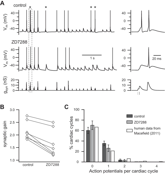 Fig. 6.