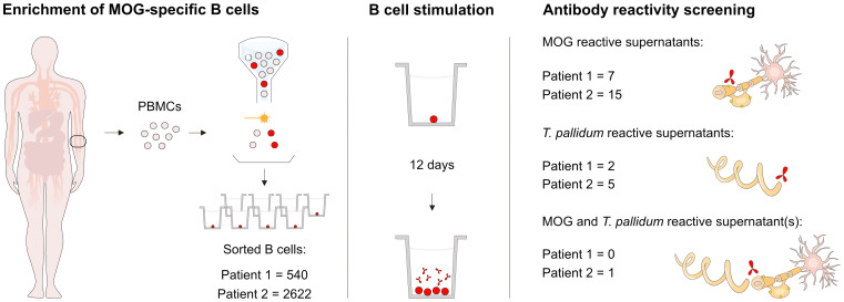 Figure 2