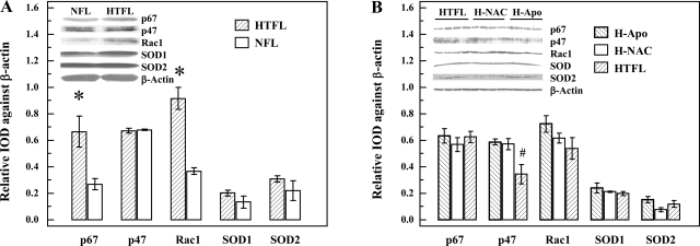 Fig. 10.