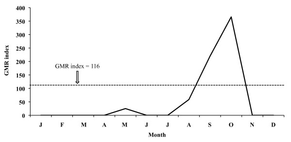 Figure 11