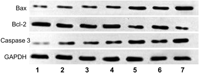 Fig. 7