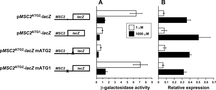 Fig 5