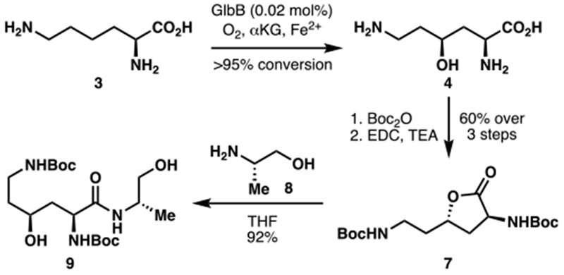 Scheme 1.