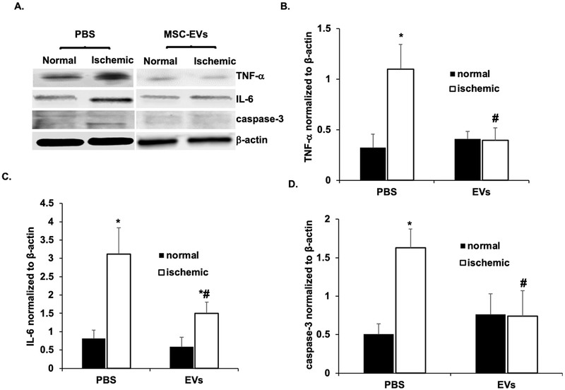 Fig 8.