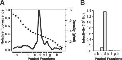 FIG. 5.