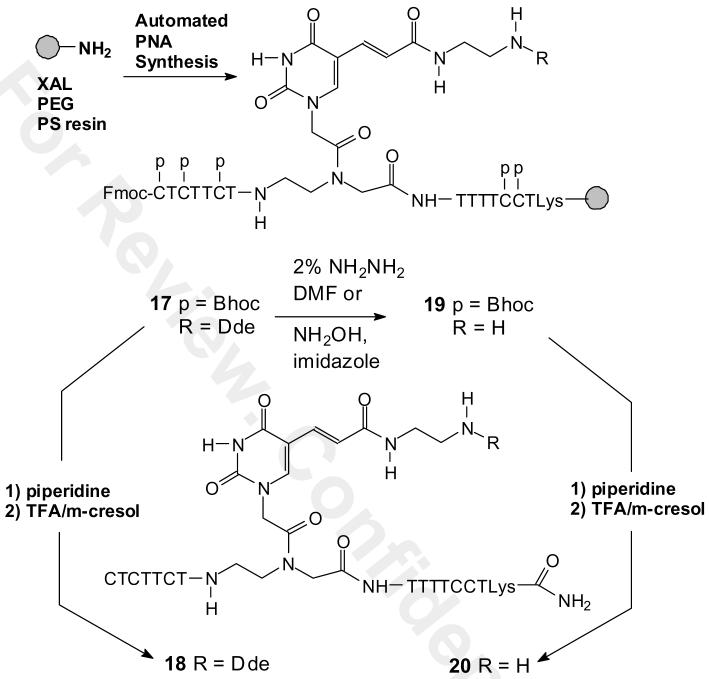 Scheme 3