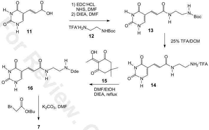 Scheme 2