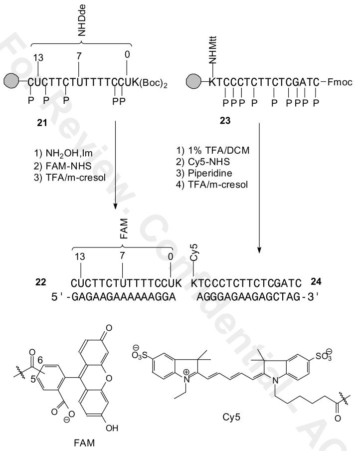 Scheme 4