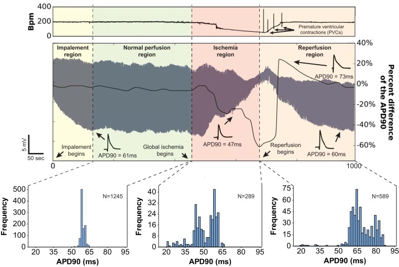 Fig. 3.